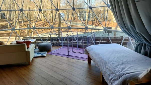 ペット同伴スタンダードビュー【7m】